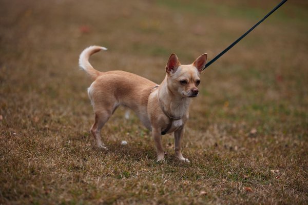 How cutting-edge tech is transforming the future of tourism in the uk